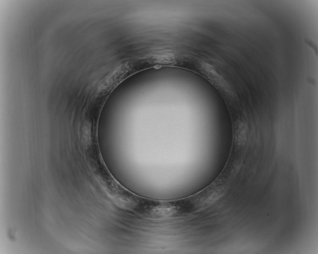 X0000100870213200806271121