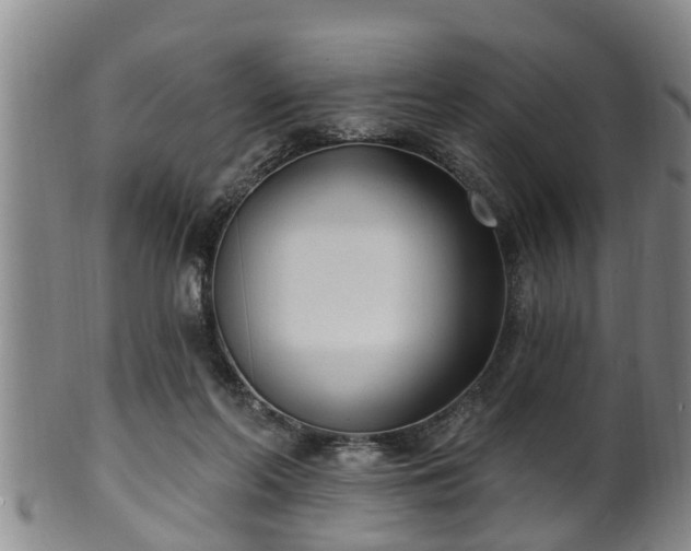 X0000100870214200806271121