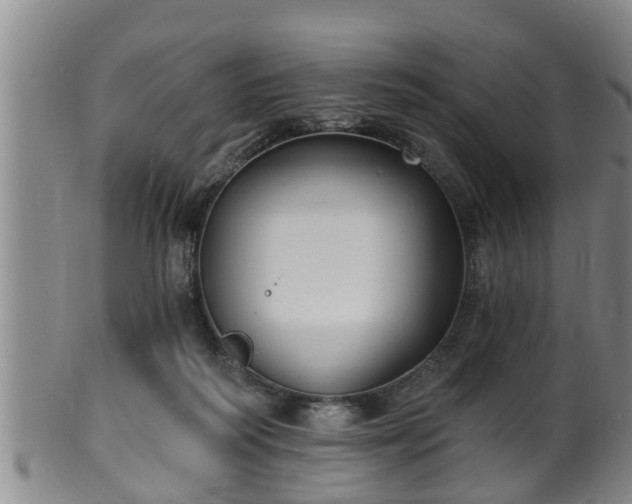 X0000100870218200806271121