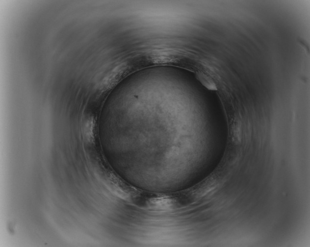 X0000100870219200806271121