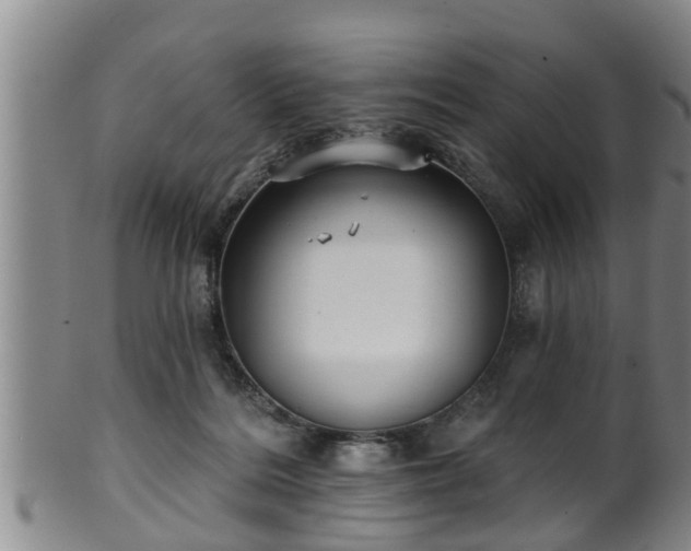 X0000100870220200806271121