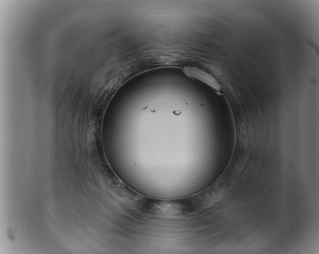 X0000100870221200806271121