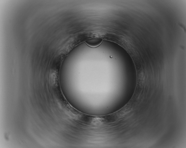 X0000100870222200806271121