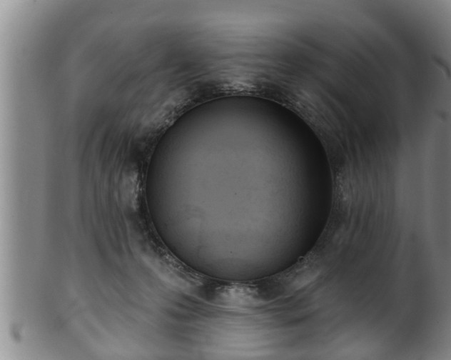 X0000100870223200806271121