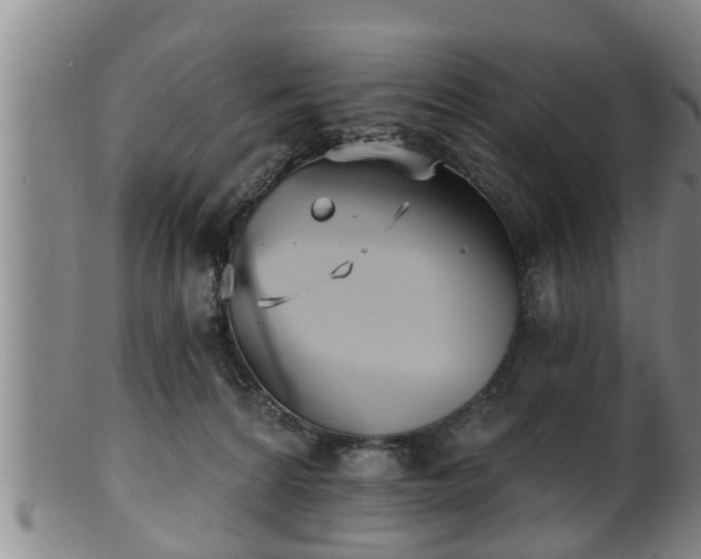 X0000100870224200806271121