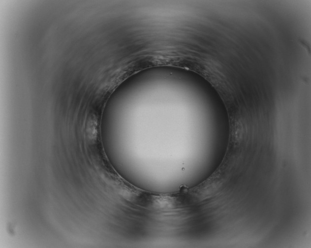 X0000100870226200806271121