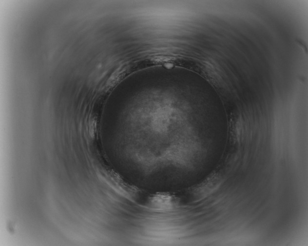 X0000100870227200806271121