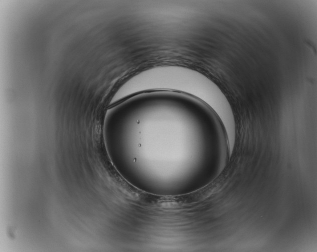 X0000100870228200806271121