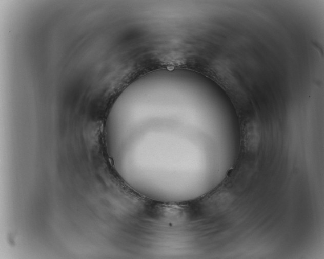 X0000100870229200806271121