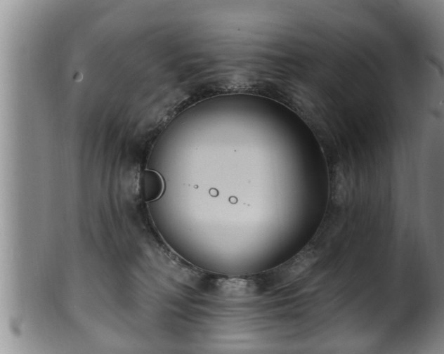 X0000100870230200806271120