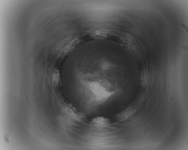 X0000100870231200806271120