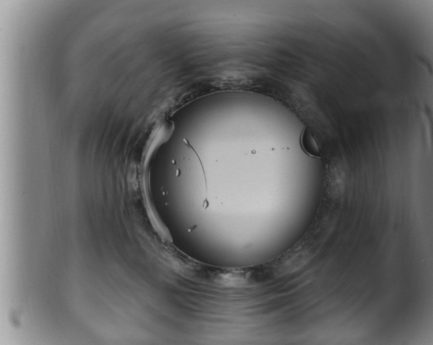 X0000100870232200806271120