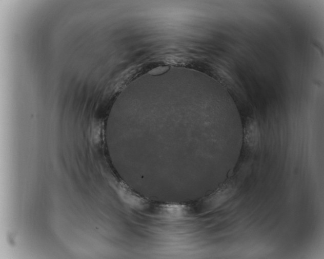 X0000100870233200806271120