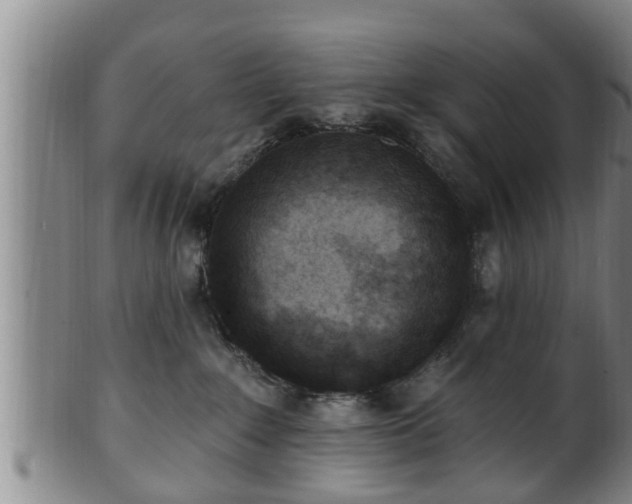 X0000100870235200806271120