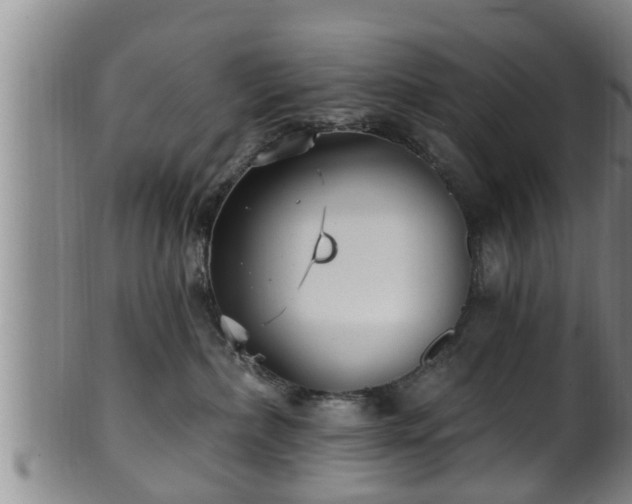 X0000100870236200806271120