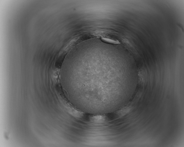 X0000100870237200806271120