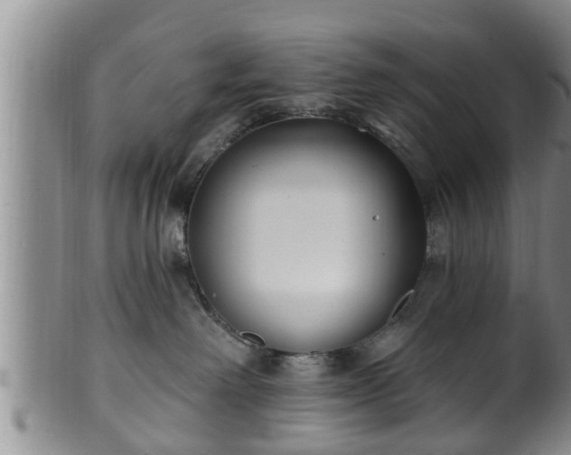 X0000100870238200806271120