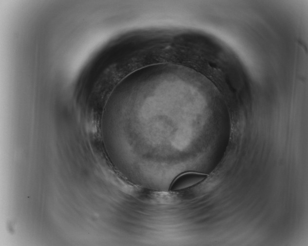 X0000100870239200806271120