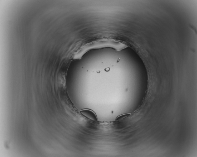 X0000100870240200806271120