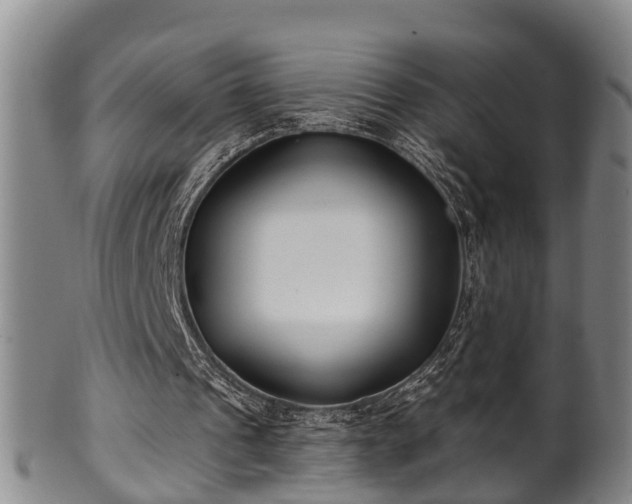 X0000100870241200806271119