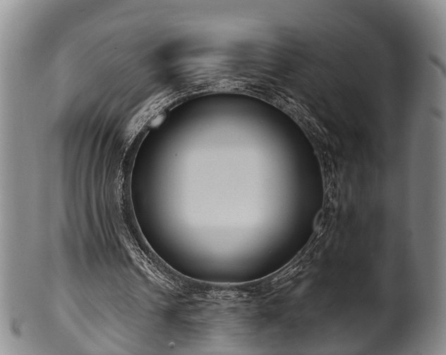 X0000100870242200806271119