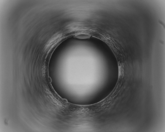 X0000100870243200806271119