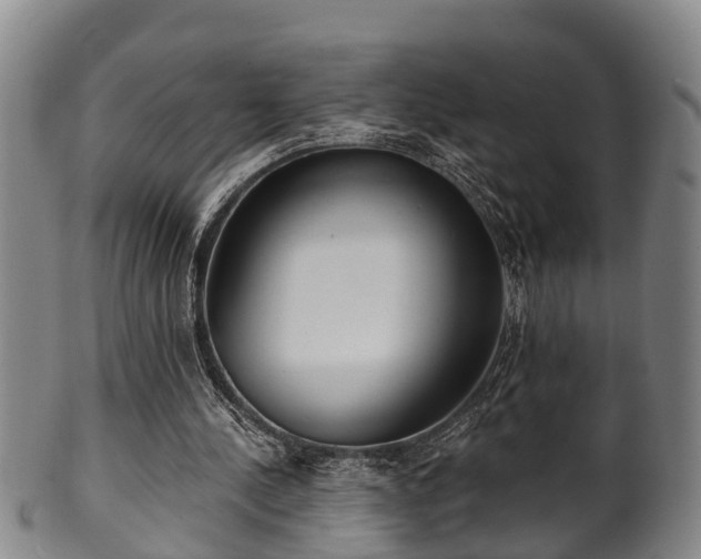 X0000100870244200806271120