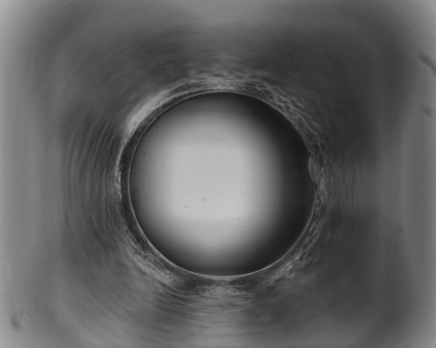 X0000100870246200806271120