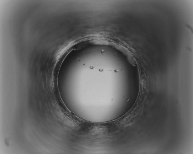 X0000100870248200806271120