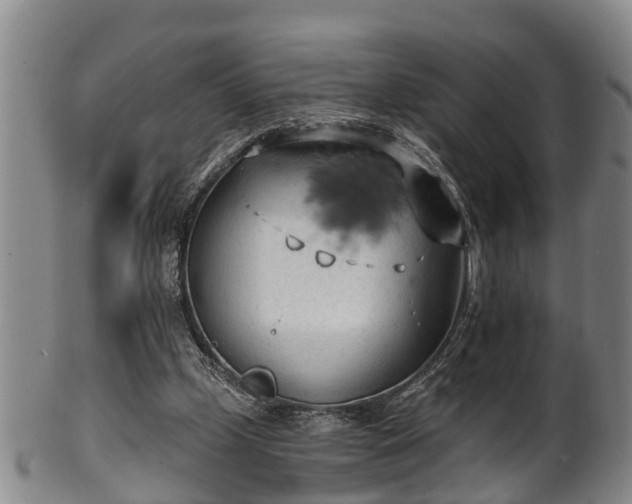 X0000100870249200806271120