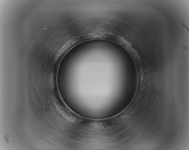 X0000100870250200806271120