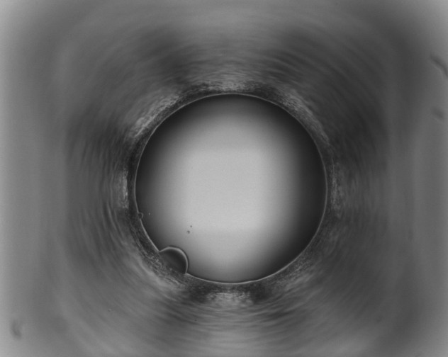 X0000100870251200806271120