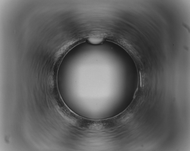 X0000100870252200806271120