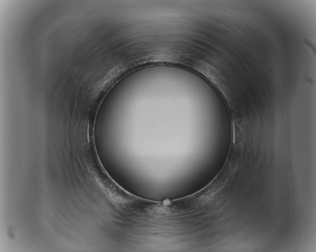 X0000100870253200806271120