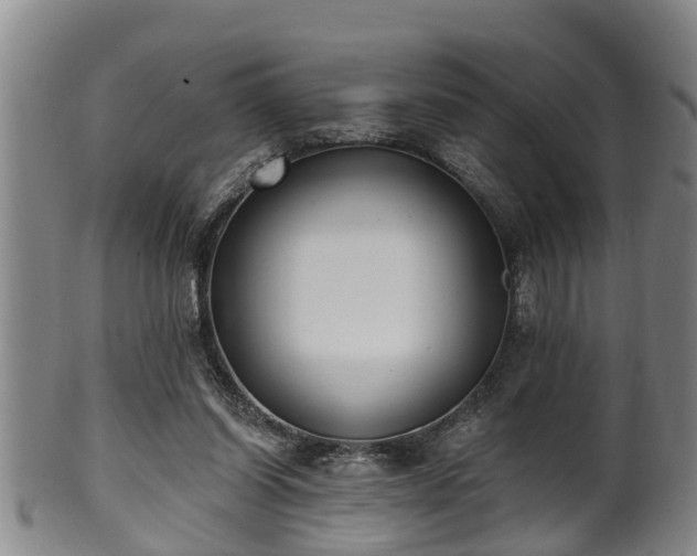 X0000100870254200806271120