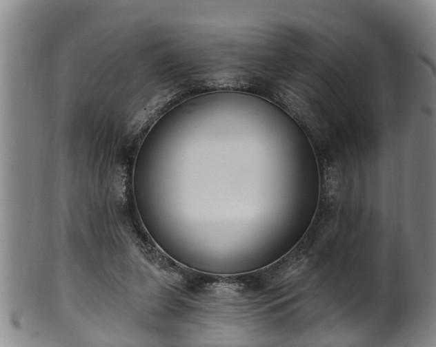 X0000100870255200806271120