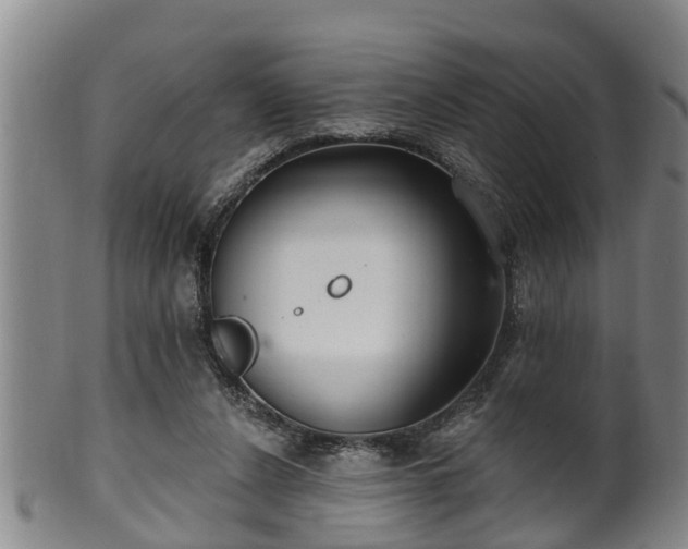 X0000100870256200806271120