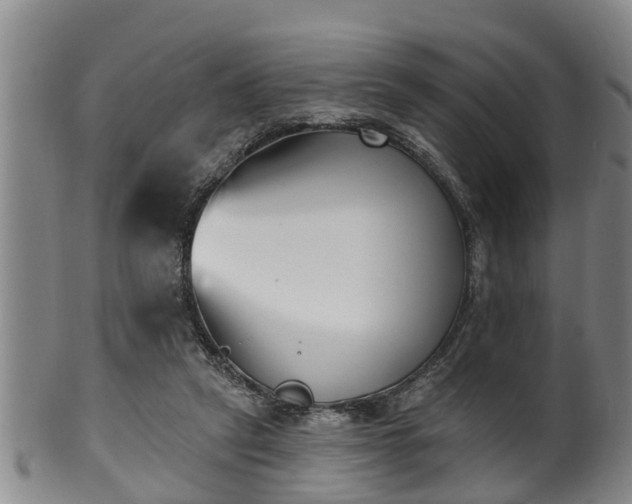 X0000100870257200806271120