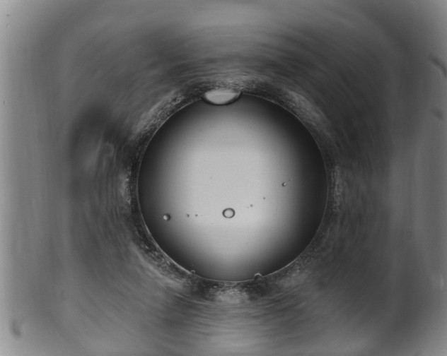 X0000100870258200806271120