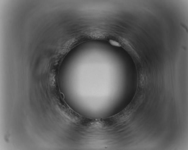 X0000100870259200806271120