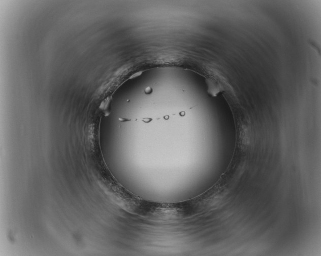 X0000100870260200806271120