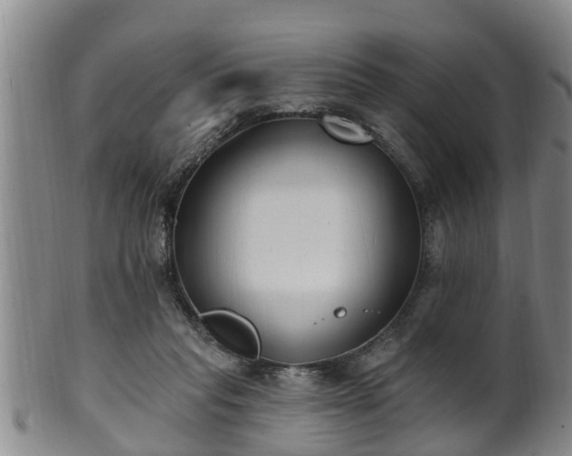 X0000100870261200806271120