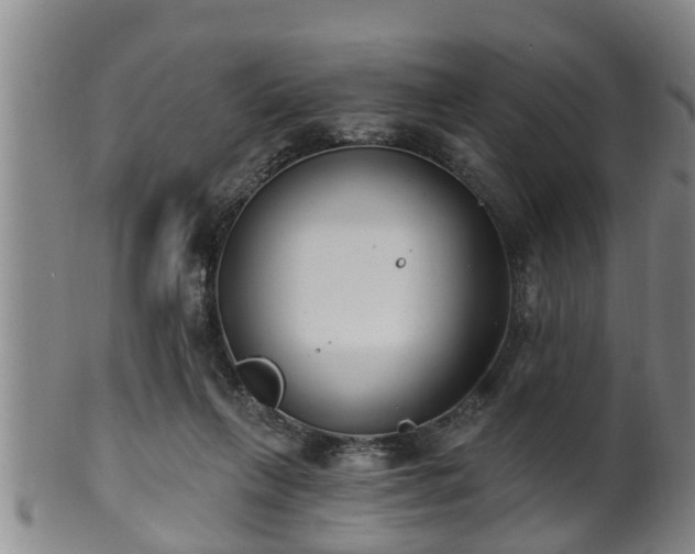 X0000100870263200806271120