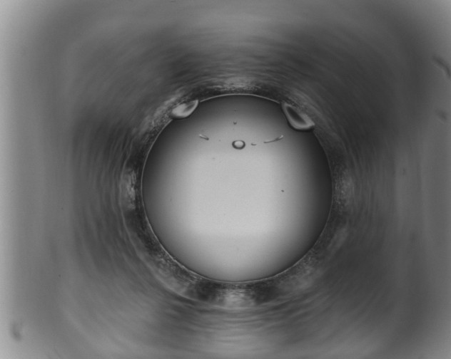 X0000100870264200806271120