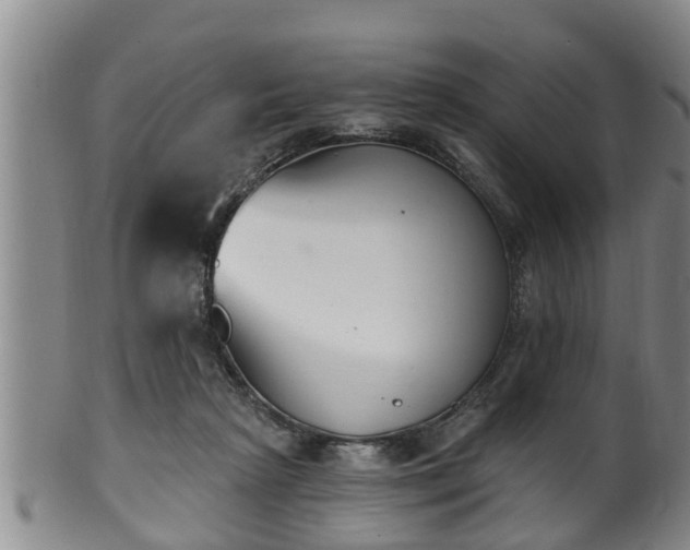 X0000100870265200806271120