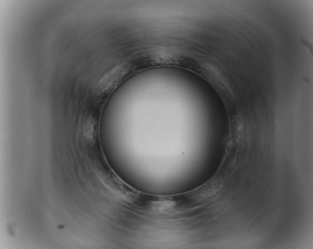 X0000100870266200806271120