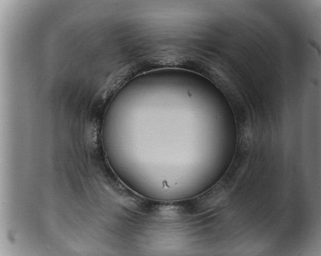 X0000100870268200806271120