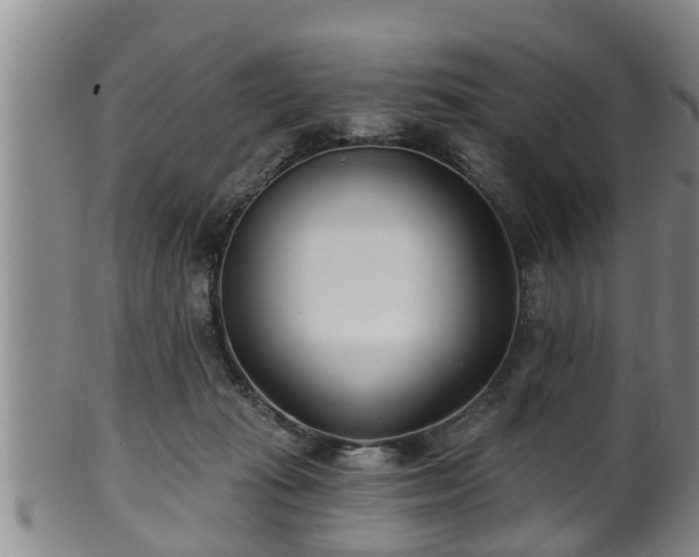 X0000100870269200806271120