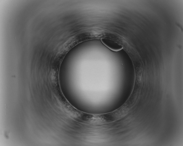 X0000100870270200806271120