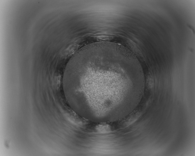 X0000100870271200806271120